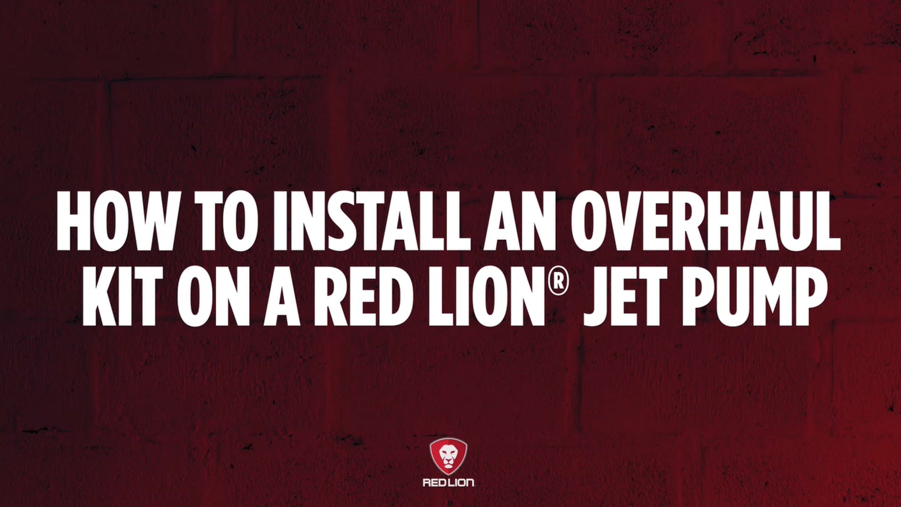 Red Lion 305584006 Overhaul Kit for RJS-50-PREM 1/2 HP Shallow